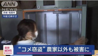 米太貴！日本人在米袋里放GPS防偷