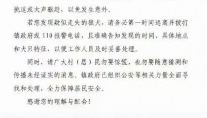 陜西一鎮(zhèn)上有狼外逃？當(dāng)?shù)鼗貞?yīng)：是狼犬，已擊斃21只，還有一兩只在逃