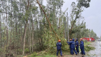臺(tái)風(fēng)“蝴蝶”停編，登陸以來(lái)造成中國(guó)廣西5人死亡、越南6人死亡