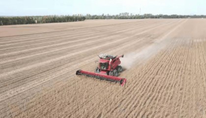 長水河農(nóng)場有限公司喜開金秋第一鐮