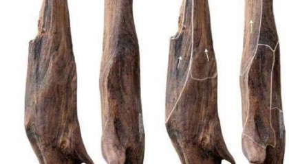 世界級重大考古成果！中國發(fā)現(xiàn)30萬年前東亞最早木器