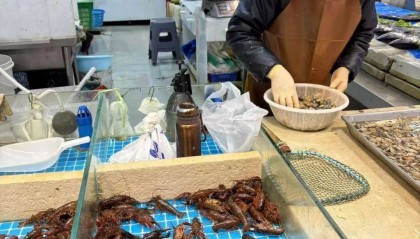 價(jià)格暴跌近50%！“接下來還會(huì)降”！青島正大量上市……