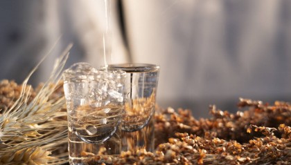 白酒巨頭“扎堆”光瓶酒:59元洋河賣爆了,有煙酒店老板半個月補(bǔ)貨四次