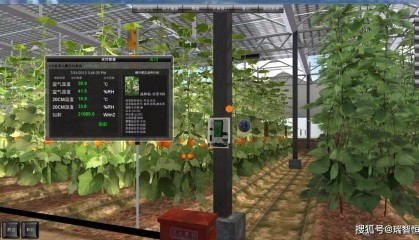 探尋長沙領先小程序開發(fā)公司：專業(yè)團隊，創(chuàng)新技術，打造卓越微信生態(tài)應用