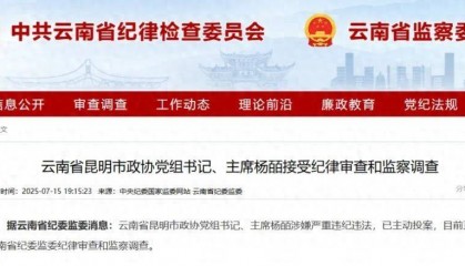 曾任昆明市副市長(zhǎng)的她，主動(dòng)投案