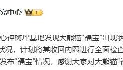 中國大熊貓保護(hù)研究中心回應(yīng)“‘福寶’出現(xiàn)狀況異?！保赫芮杏^察其狀況，計劃將其收回內(nèi)圈進(jìn)行全面檢查