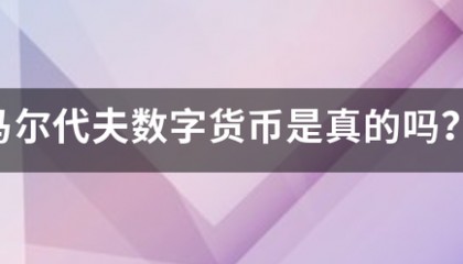 馬爾代夫數(shù)字貨幣是真的嗎？