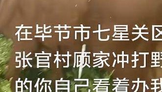 貴州畢節(jié)一黃牛被鐵扦射穿身體，主人報(bào)警：懷疑有人用無(wú)人機(jī)狩獵