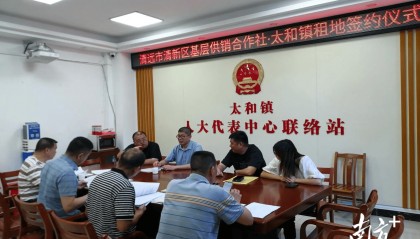 清新太和：又一項目簽約，打造“千畝方”優(yōu)質絲苗米產業(yè)基地