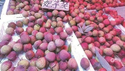 大跳水，暴跌40%！老板：一天一個價，估計還要跌