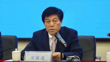 宋振波，主動投案