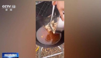 保護(hù)區(qū)里的“瘋狂垂釣”屢禁不止！記者調(diào)查