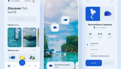 區(qū)塊鏈智能合約開發(fā)工具比較