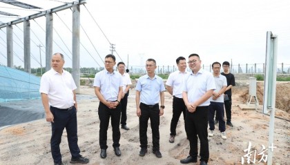 胡志方到大溝鎮(zhèn)督導(dǎo)海洋漁業(yè)跨縣集群項目推進(jìn)工作