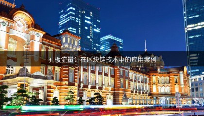 孔板流量計(jì)在區(qū)塊鏈技術(shù)中的應(yīng)用案例