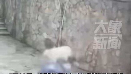 湖南兩高中生騎電動車撞圍墻身亡，兩人均未佩戴安全頭盔 家屬稱系改裝車，最高時(shí)速100公里