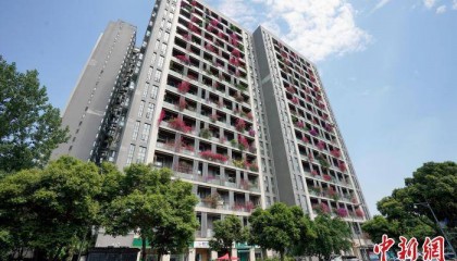 成都一棟30層高居民樓被三角梅扮靚