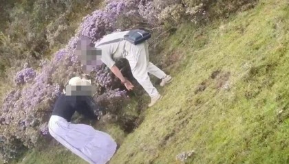 兩游客在景區(qū)盜挖索瑪花 警方：給予行政處罰，兩人認(rèn)識(shí)到錯(cuò)誤并作鄭重道歉