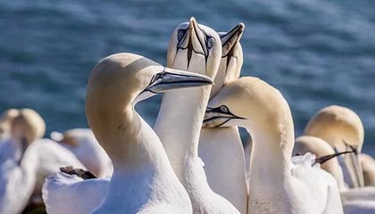 湖南調(diào)整以舊換新規(guī)則，家電和數(shù)碼產(chǎn)品實行限額領(lǐng)券制度