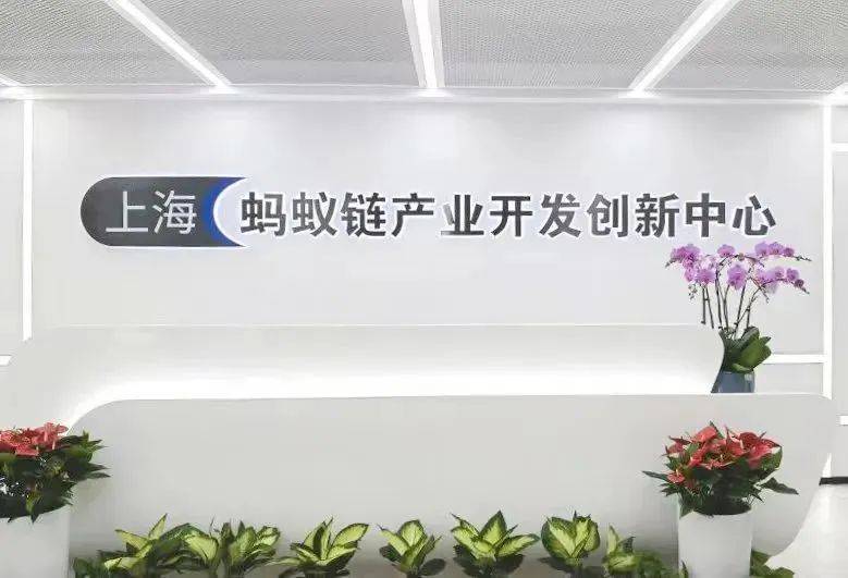 今年來，平均每個(gè)月就有3家區(qū)塊鏈企業(yè)“落戶”靜安這里！“數(shù)通鏈谷”正在起勢賦能
