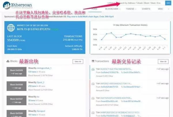如何通過(guò)區(qū)塊鏈資產(chǎn)地址（數(shù)字錢(qián)包地址）查看該地址的區(qū)塊鏈資產(chǎn)（數(shù)字貨幣）？