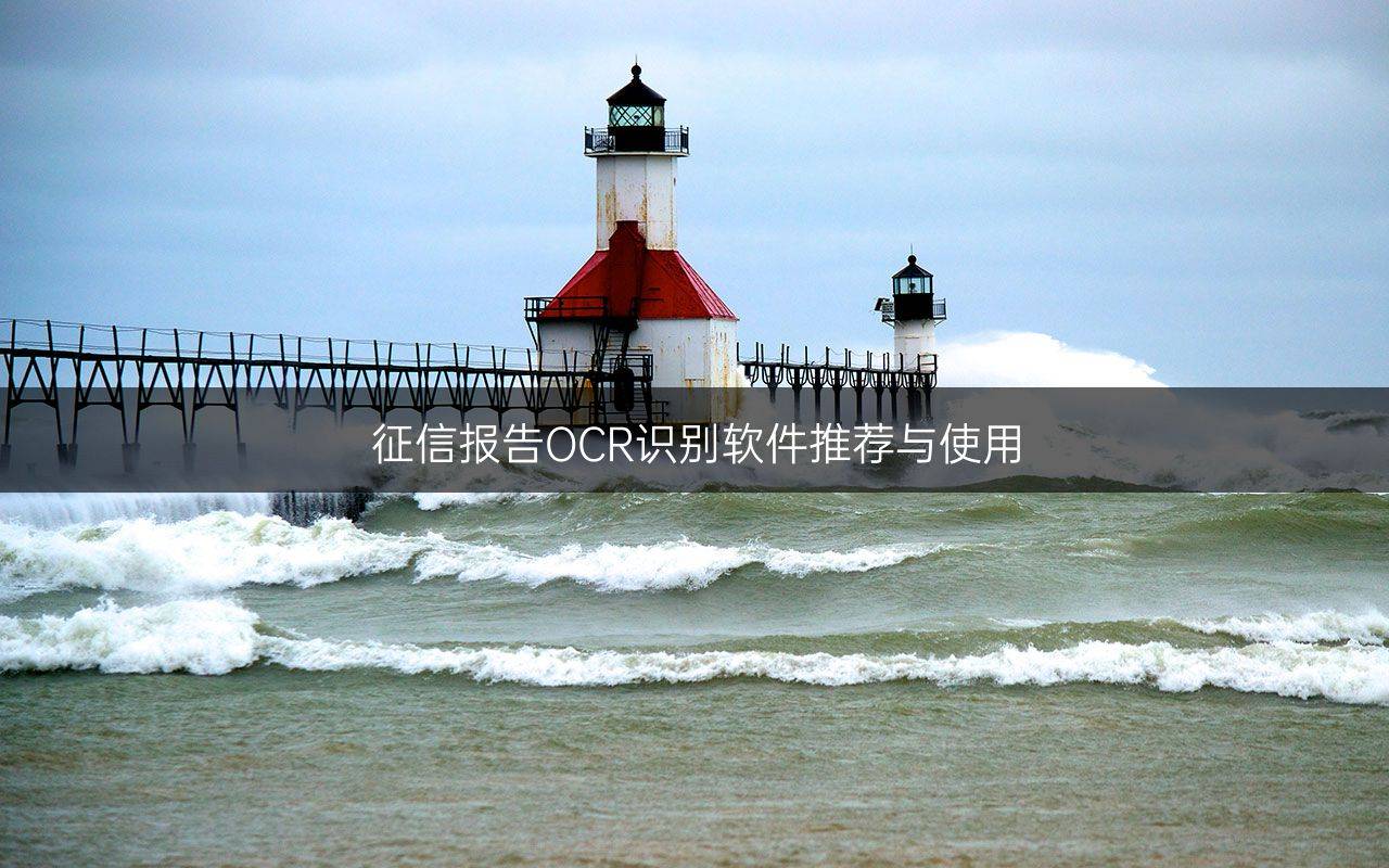 征信報告OCR識別軟件推薦與使用