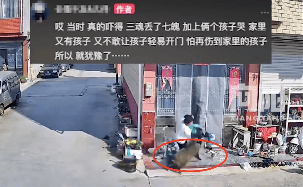 街頭橫沖直闖，抱娃女子被撞傷，警方：已被特警擊斃