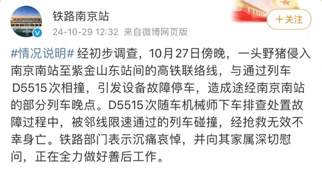 街頭橫沖直闖，抱娃女子被撞傷，警方：已被特警擊斃