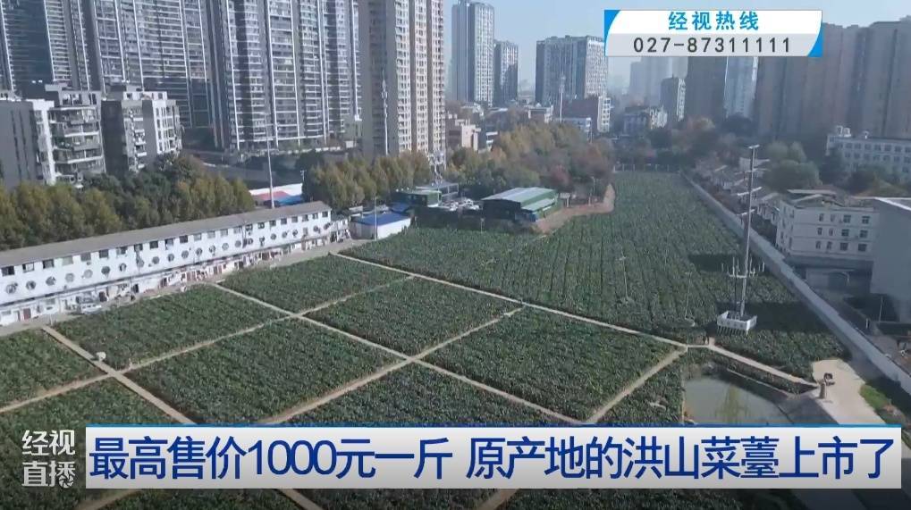 武漢人愛吃！最高1000元一斤，供不應(yīng)求
