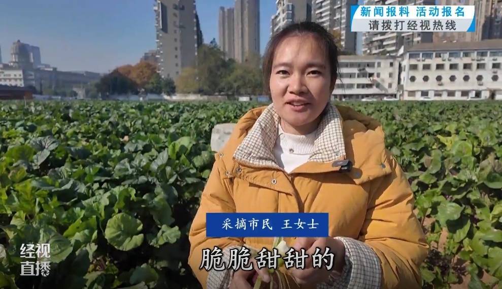 武漢人愛吃！最高1000元一斤，供不應(yīng)求
