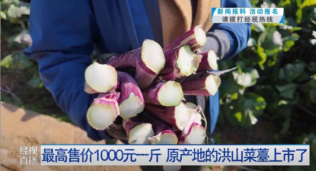武漢人愛吃！最高1000元一斤，供不應(yīng)求