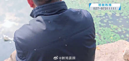 密密麻麻！多得像“馬賽克" 武漢一湖邊漫天飛蟲