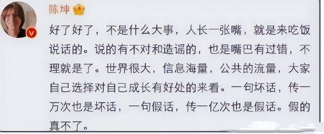 陳坤的兒子已成年，容貌開始顯現(xiàn)母親的基因，像誰可以認(rèn)得出嗎？