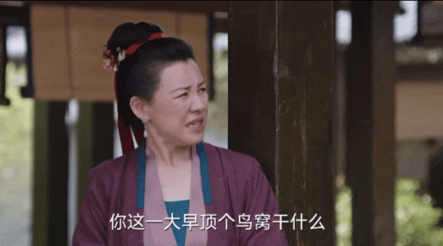 全網(wǎng)熱議，張馨予的頭上為什么要頂個“鳥窩”？