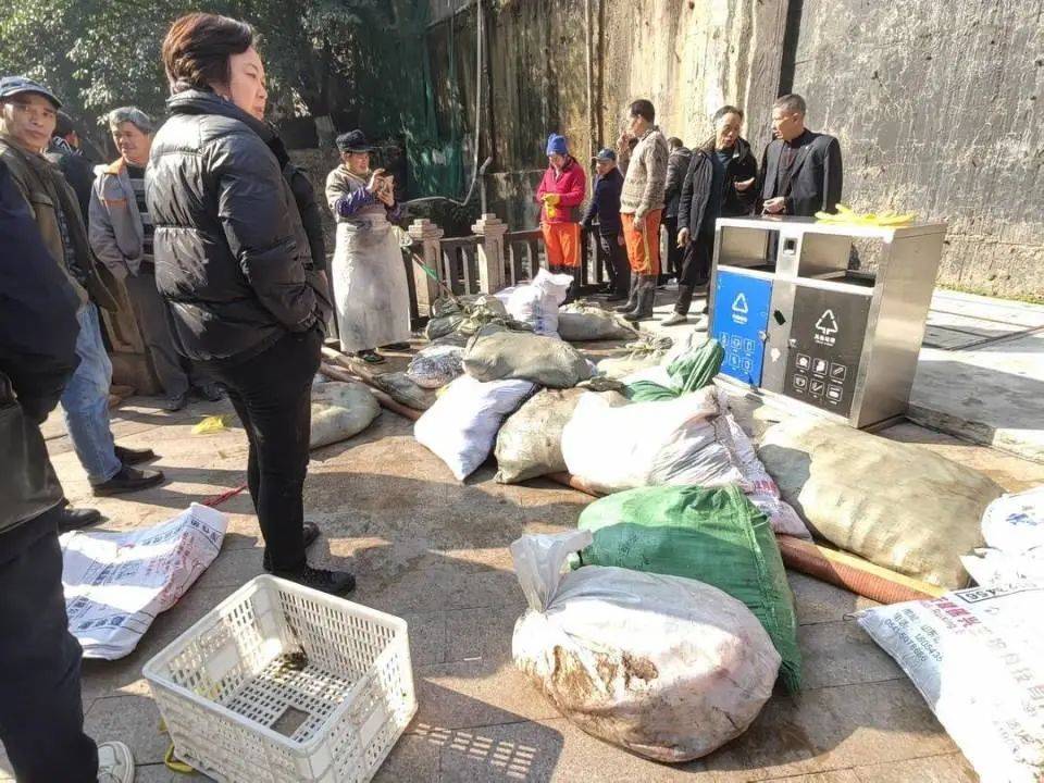 ?一公園觀賞魚大量死亡，死魚裝滿30余編織袋，警方通報(bào)