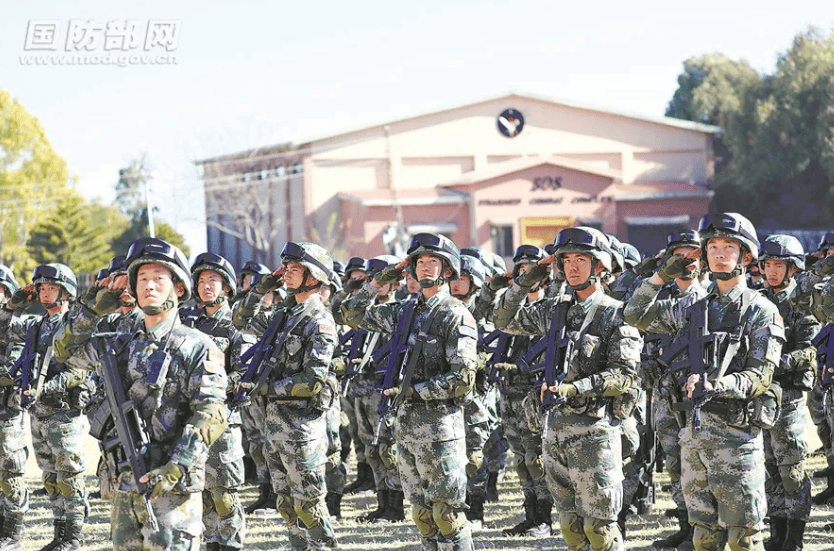 金燦榮：電詐集團太猖狂！必要時派解放軍消滅！