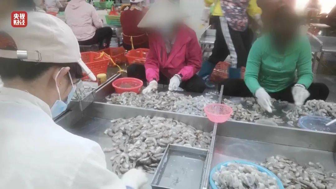 太嚇人！央視3·15晚會曝光：嚴(yán)重超標(biāo)！工人坦言：我自己從來不吃