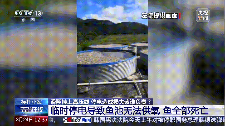 深圳女子被掛高壓線！停電救援，9池魚(yú)死光！他怒上法庭……