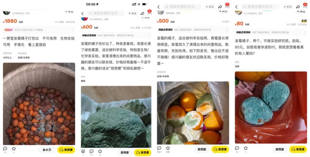 突然火了！有人賣500元一個！網友：后悔扔了……