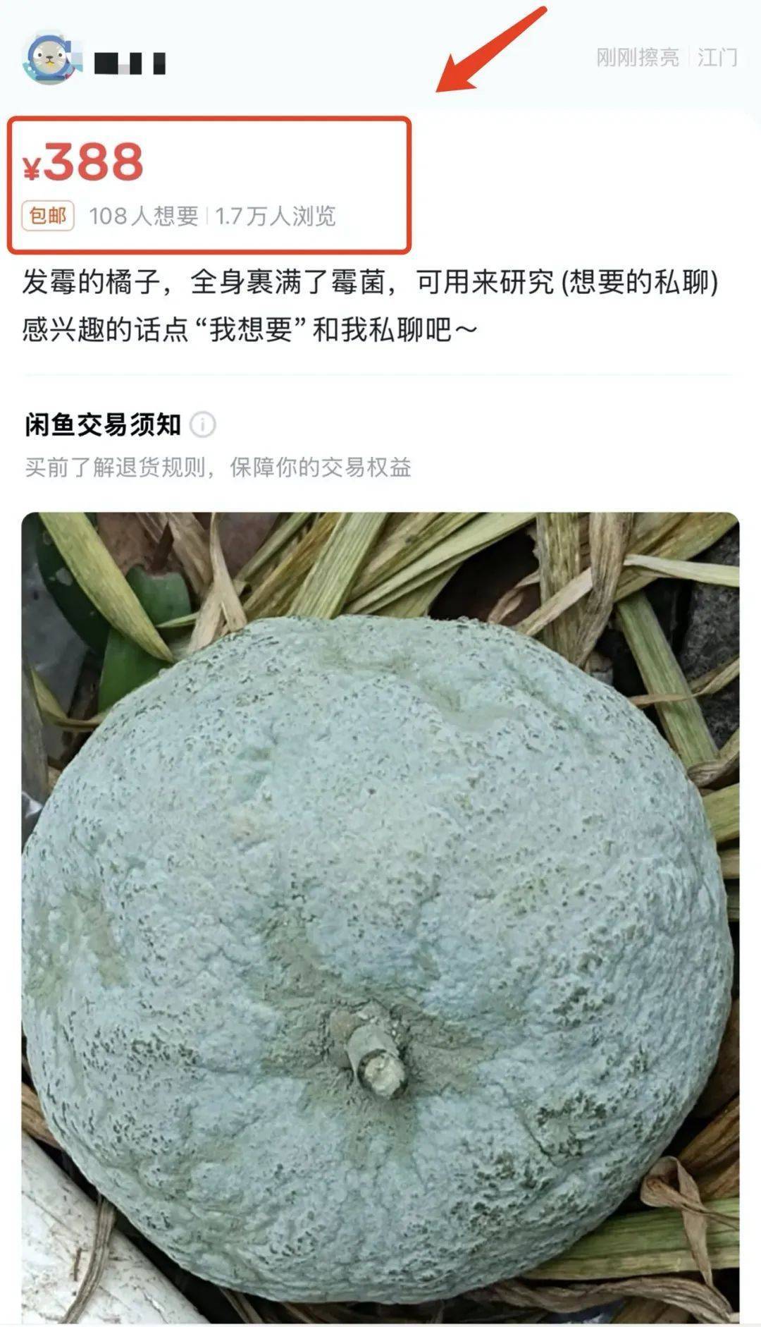 突然火了！有人賣500元一個！網友：后悔扔了……