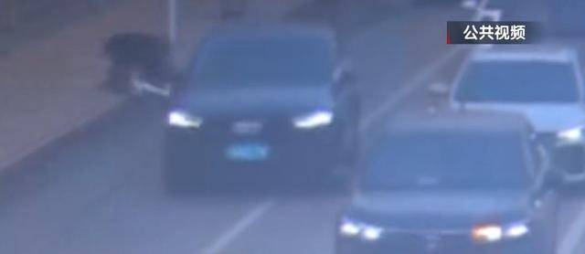 騎自行車碰瓷！北京一六旬男子騙取25人共4.6萬余元，法院判了