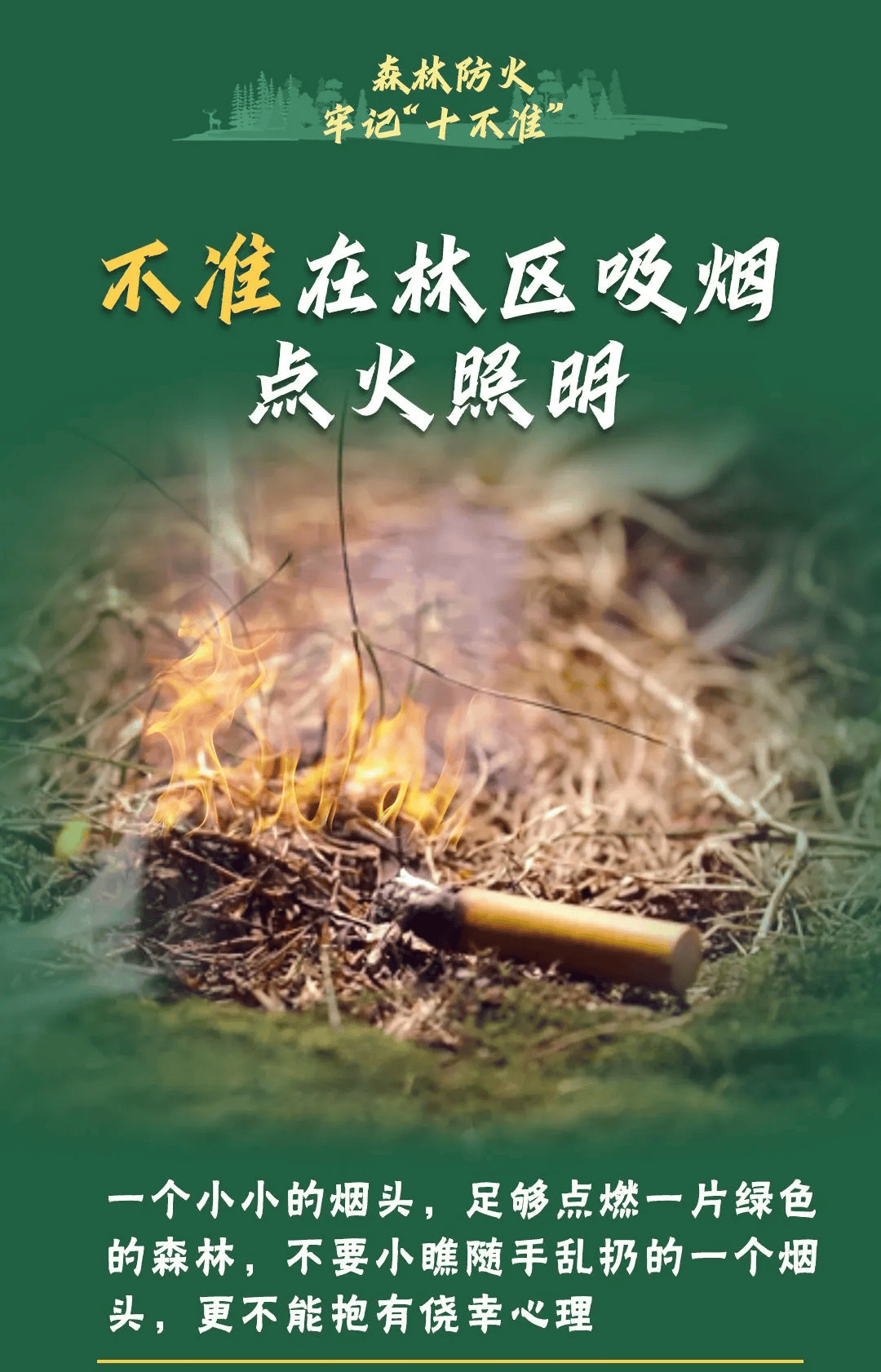 山火連發(fā)，原因公布！多地拉響紅色預(yù)警→