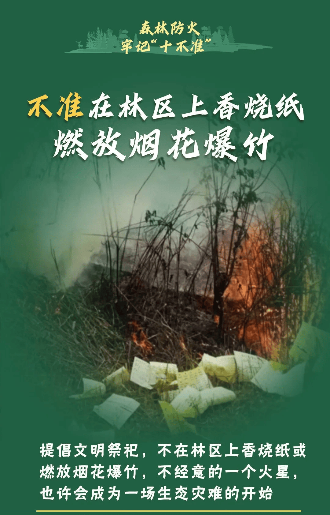 山火連發(fā)，原因公布！多地拉響紅色預(yù)警→