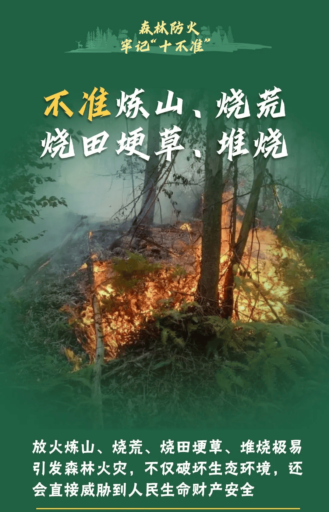 山火連發(fā)，原因公布！多地拉響紅色預(yù)警→