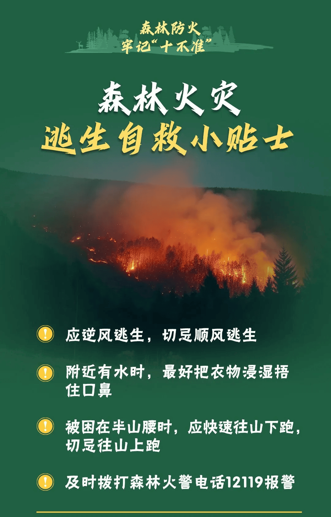 山火連發(fā)，原因公布！多地拉響紅色預(yù)警→