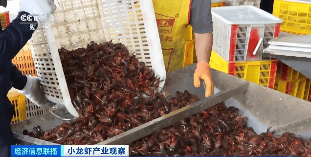 價(jià)格暴跌近50%！“接下來還會(huì)降”！青島正大量上市……