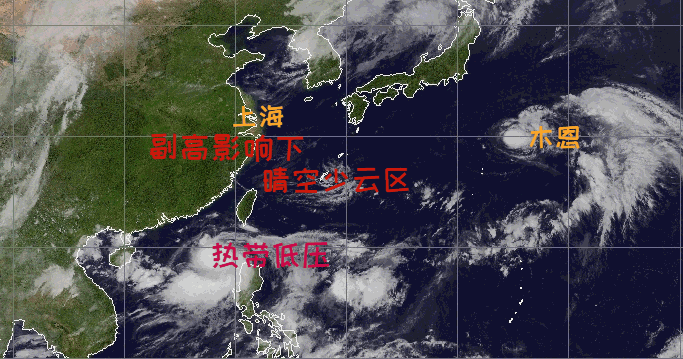 上海高溫何時休？有盼頭了！夏天越來越熱需警惕“情緒中暑”
