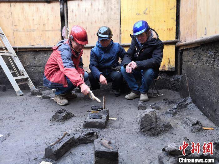 世界級(jí)重大考古成果！中國(guó)發(fā)現(xiàn)30萬年前東亞最早木器