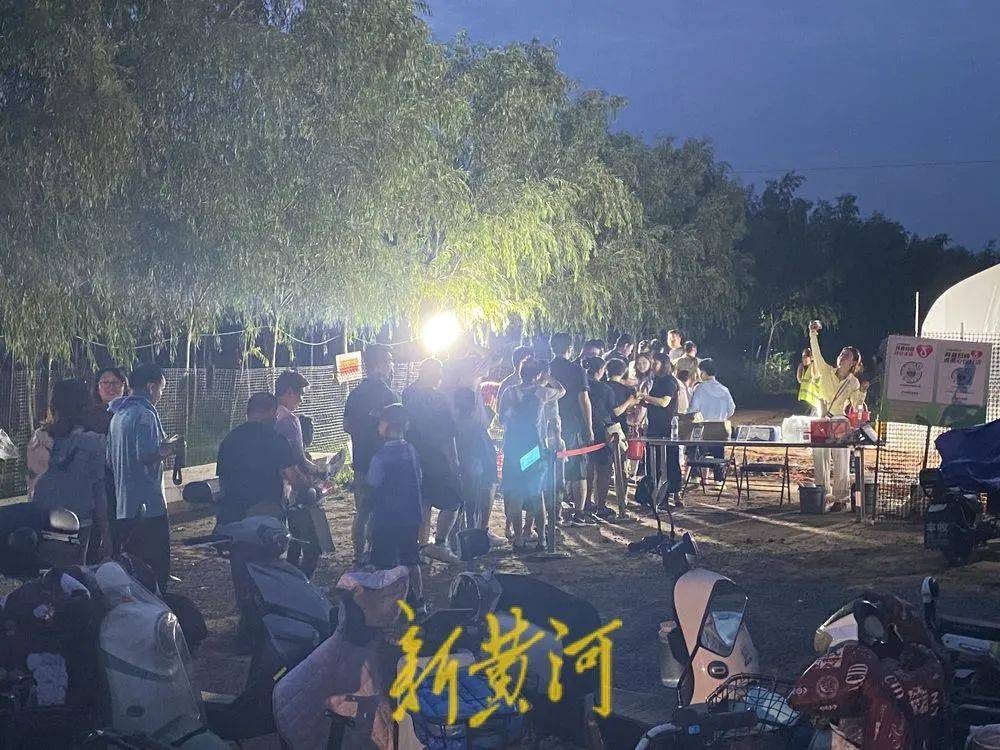 濟(jì)南這片樹(shù)林，一晚捉了20000只金蟬