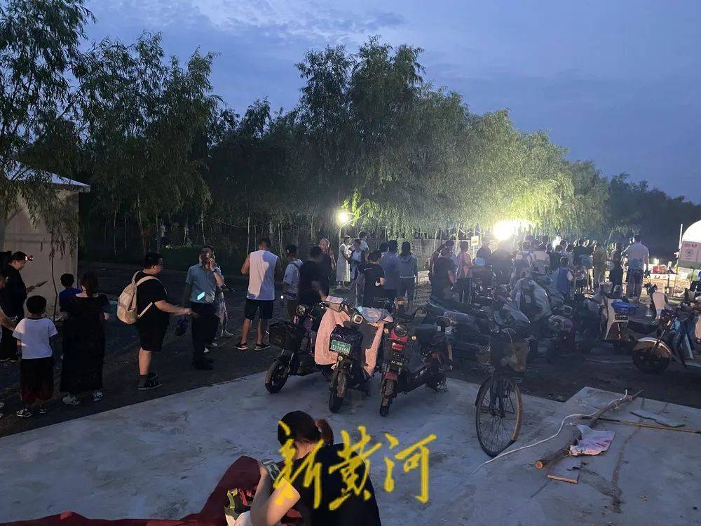濟(jì)南這片樹(shù)林，一晚捉了20000只金蟬